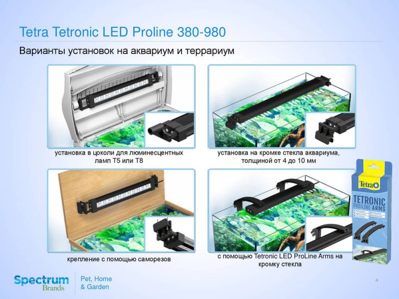 Бликса новогвинейская