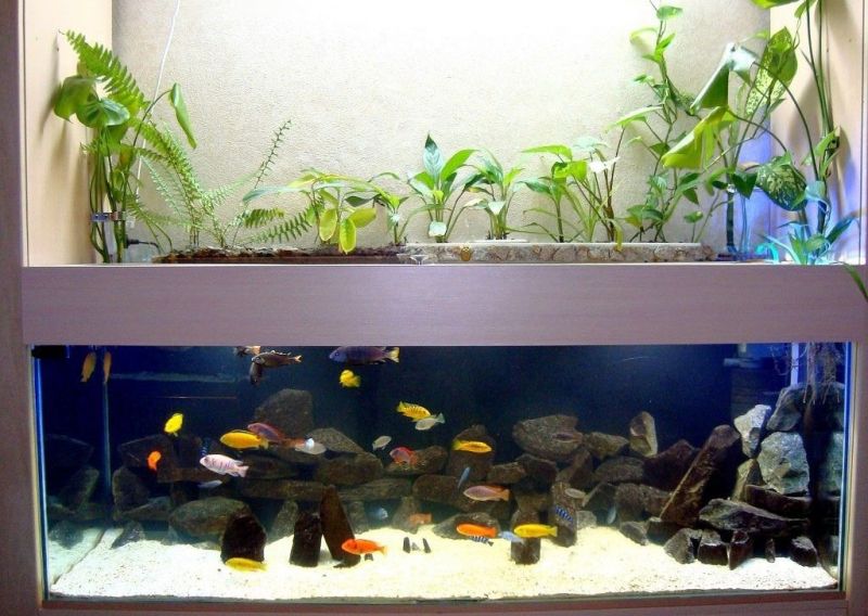 Фитофильтр для аквариума своими руками