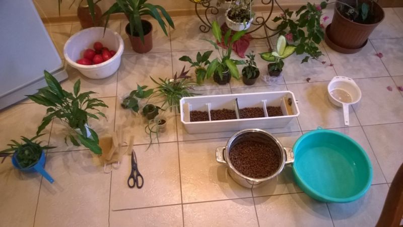 Фитофильтр для аквариума своими руками