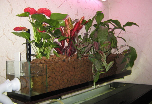 Фитофильтр для аквариума своими руками