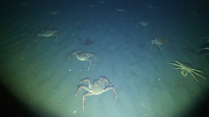 История одной поездки на полуостров Рыбачий или &laquo;нет худа без добра&raquo;