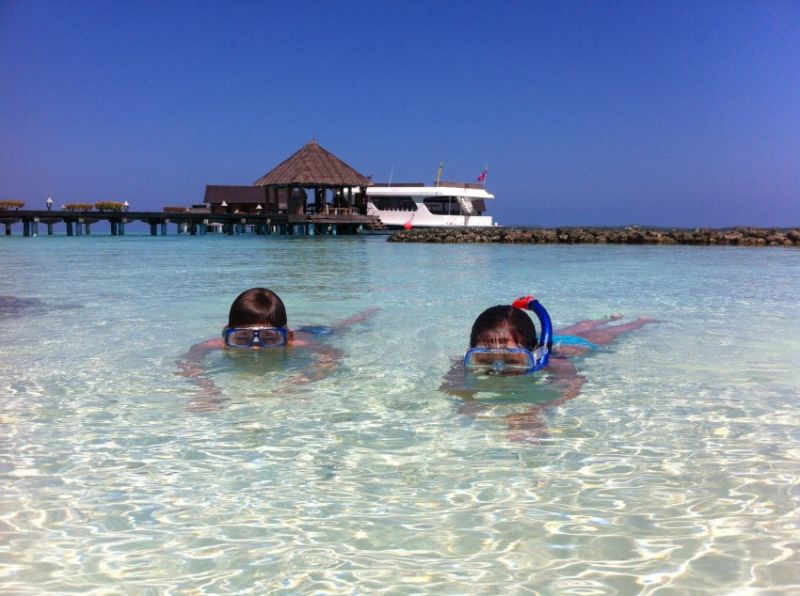 Мальдивы &mdash; сладкая мечта дайверов