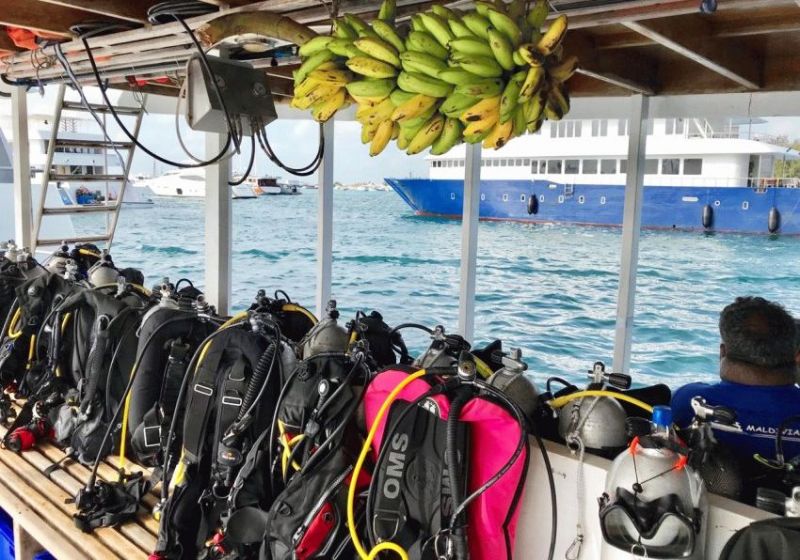Мальдивы &mdash; сладкая мечта дайверов
