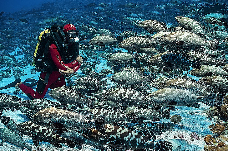 "Преимущества погружения с ребризерами: почему все больше дайверов переходят на ребризерный дайвинг"